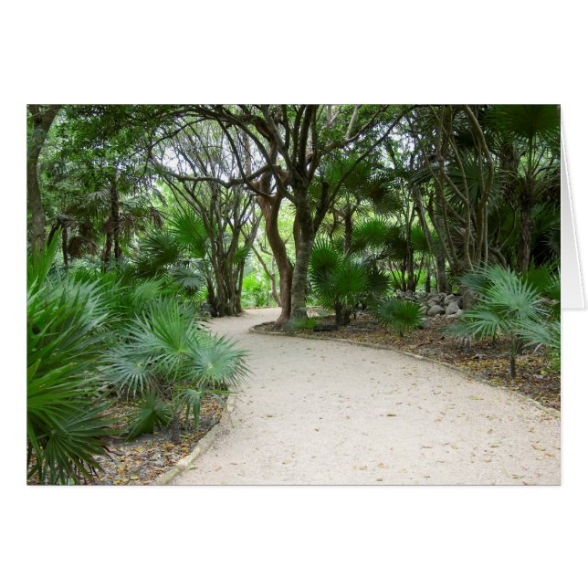 Tulum Trail (Front Horizontal)