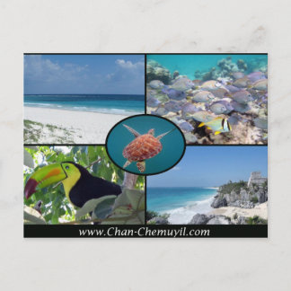 Tulum Vacation Rentals - Chan Chemuyil Post Card