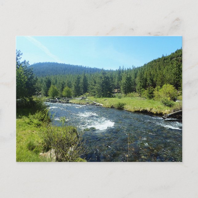 Tumalo Creek Postcard (Front)