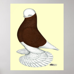 Tumbler:  Muffed Red Bald Poster