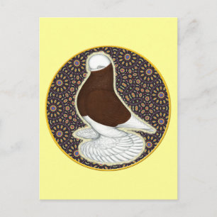 Tumbler Pigeon Circle Postcard
