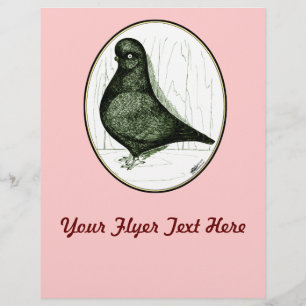 Tumbler Pigeon LFCL From 1978 Flyer