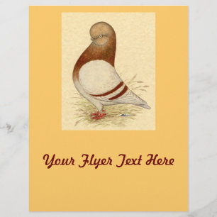 Tumbler Pigeon:  LFCL Mealy Flyer
