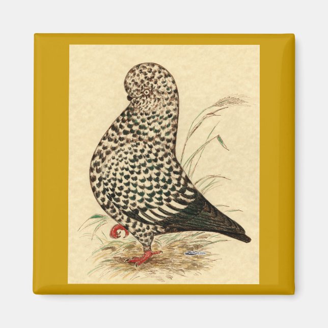 Tumbler Pigeon LFCL Splash Magnet (Front)