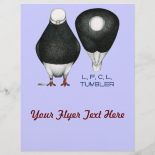 Tumbler Pigeon  Standard Black Bald Flyer