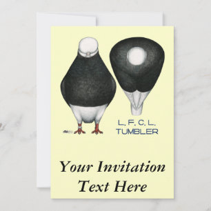 Tumbler Pigeon  Standard Black Bald Invitation
