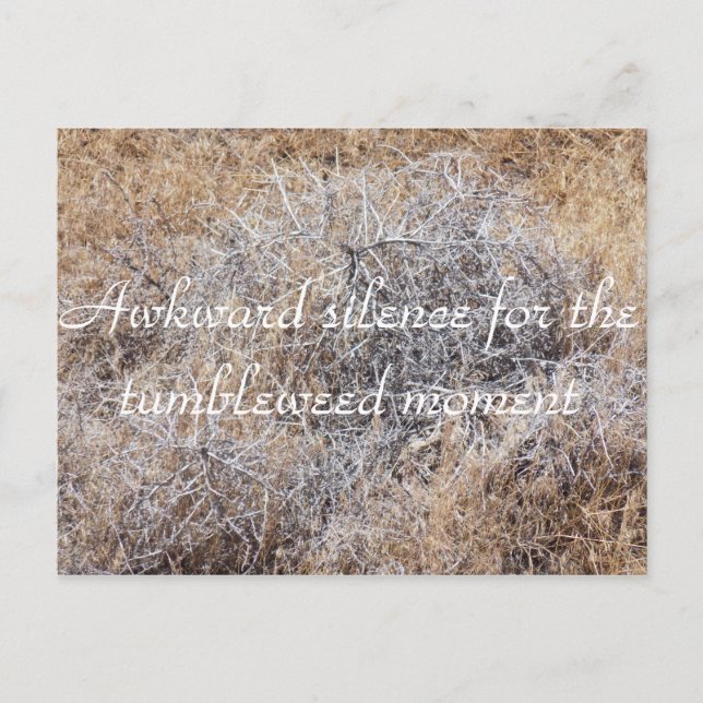 Tumbleweed Moment Sarcastic Postcard (Front)