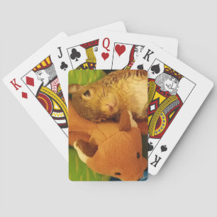 Tumbleweed & Mr. Fox Playing Cards