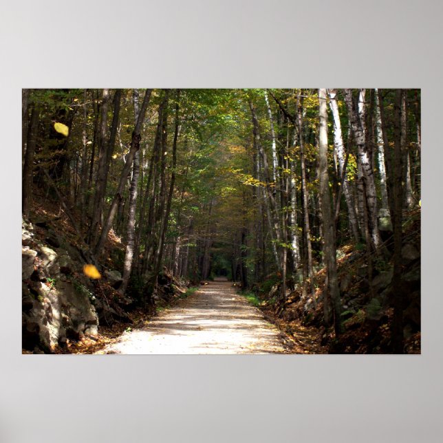 Tumbling Leaves Poster (Front)