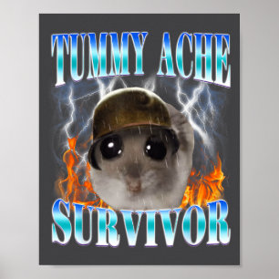 Tummy Ache Survivor Hamster Meme Funny Saying Hams Poster