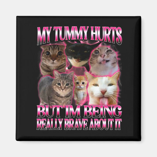 Tummy hurts funny brainrot stupid dank cats meme magnet (Front)