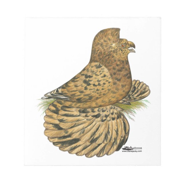 Tumpeter Pigeon Almond Notepad (Front)