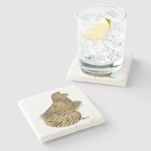 Tumpeter Pigeon Almond Stone Coaster
