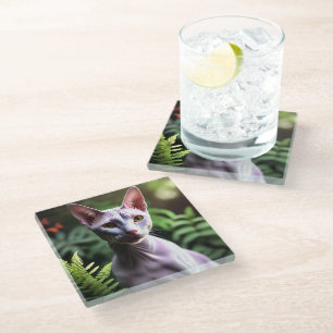 Tuna The Hairless Canadian Cat,  Glass Coaster