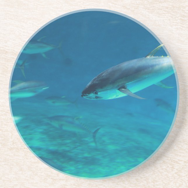 Tuna underwater coaster (Front)