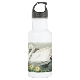 Tundra Swan by Audubon 532 Ml Water Bottle