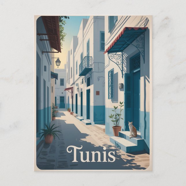 Tunis vintage postcard (Front)