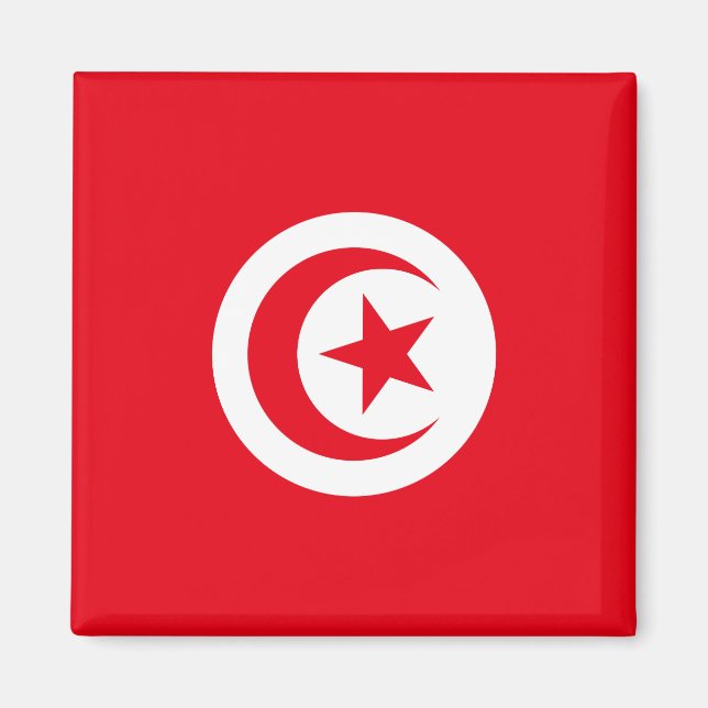 Tunisia Flag Magnet (Front)