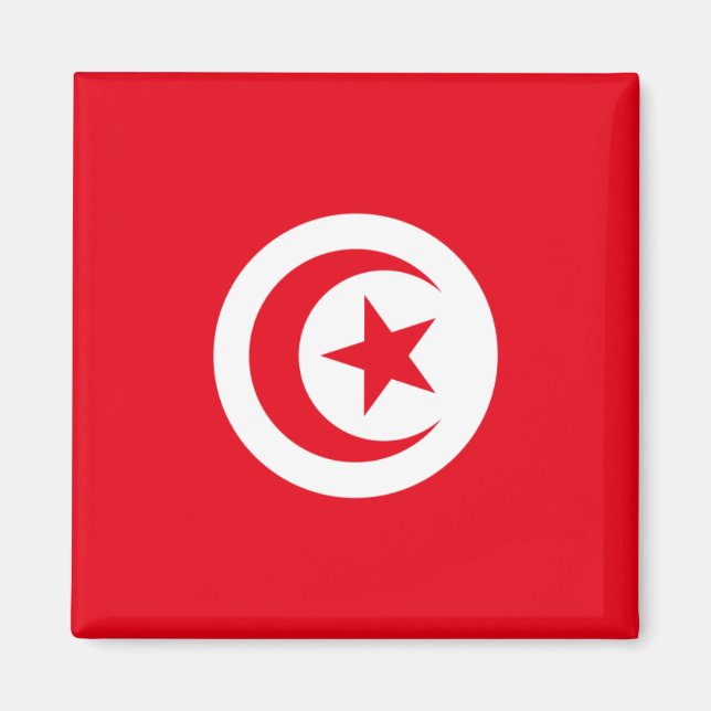Tunisia Flag Magnet (Front)