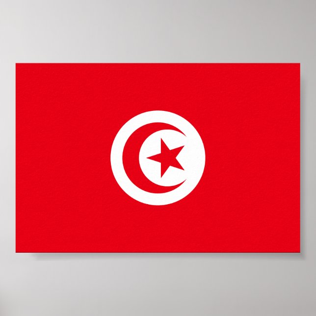 Tunisia Flag Poster (Front)