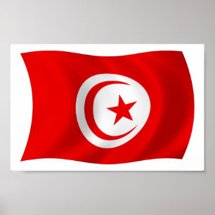 Tunisia Flag Poster Print