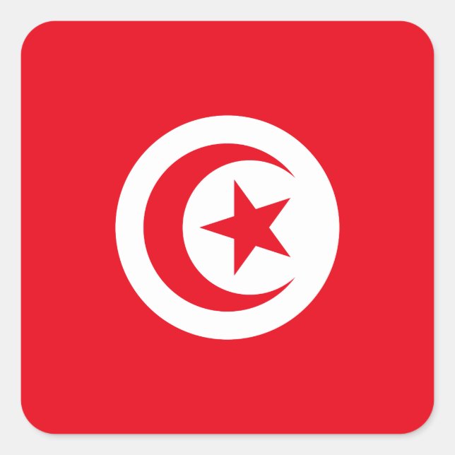 Tunisia Flag Square Sticker (Front)