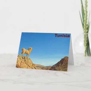 Tunisia goat statue card