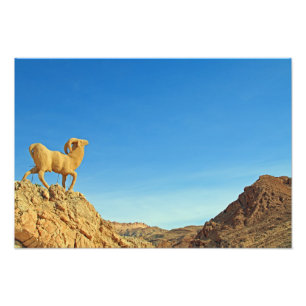 Tunisia goat statue photo print