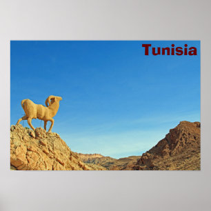 Tunisia goat statue poster