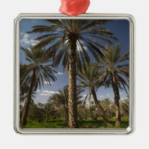 Tunisia, Ksour Area, Ksar Ghilane, date palm 2 Metal Tree Decoration