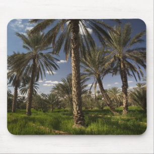 Tunisia, Ksour Area, Ksar Ghilane, date palm Mouse Mat