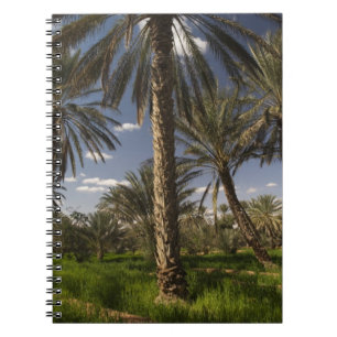 Tunisia, Ksour Area, Ksar Ghilane, date palm Notebook