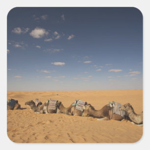 Tunisia, Ksour Area, Ksar Ghilane, Grand Erg 2 Square Sticker