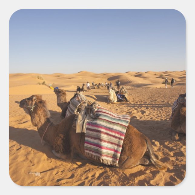 Tunisia, Ksour Area, Ksar Ghilane, Grand Erg 3 Square Sticker (Front)