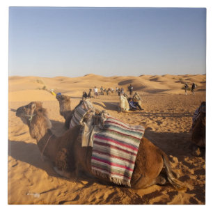 Tunisia, Ksour Area, Ksar Ghilane, Grand Erg 3 Tile