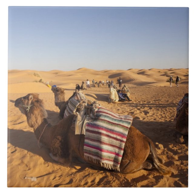 Tunisia, Ksour Area, Ksar Ghilane, Grand Erg 3 Tile (Front)