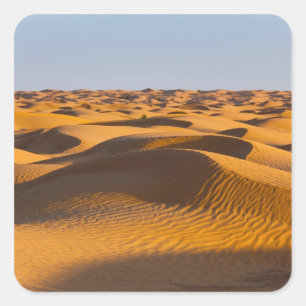 Tunisia, Ksour Area, Ksar Ghilane, Grand Erg 4 Square Sticker