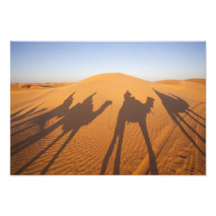 Tunisia, Ksour Area, Ksar Ghilane, Grand Erg 5 Photo Print