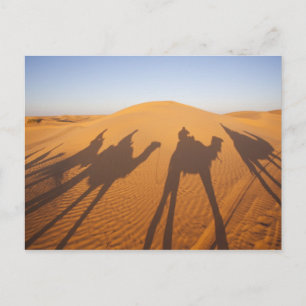 Tunisia, Ksour Area, Ksar Ghilane, Grand Erg 5 Postcard