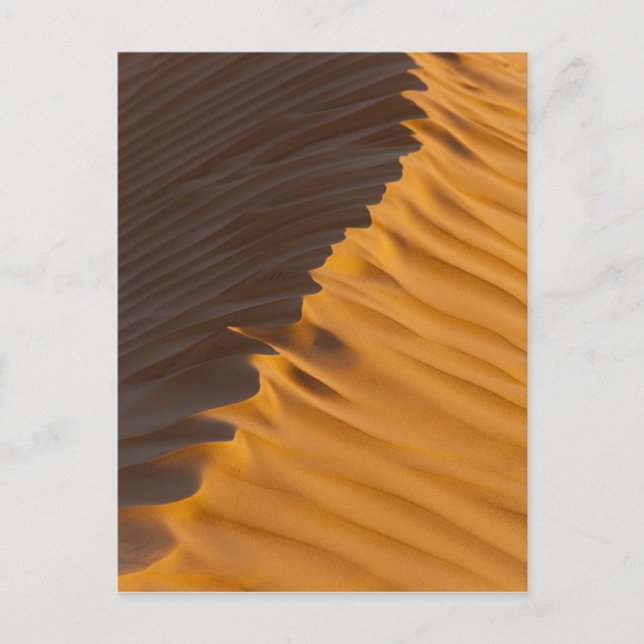 Tunisia, Ksour Area, Ksar Ghilane, Grand Erg Postcard (Front)