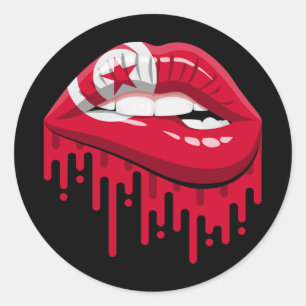 Tunisia lips pride root flag classic round sticker