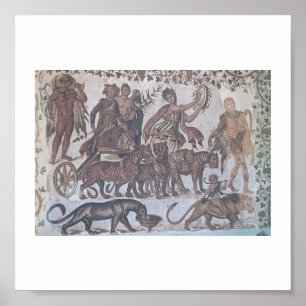 Tunisia Roman Mosaics Poster