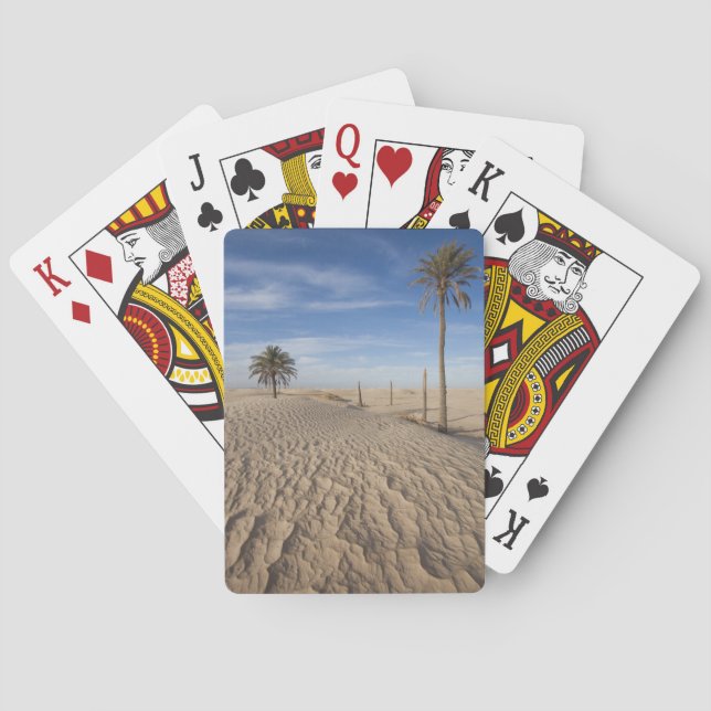 Tunisia, Sahara Desert, Douz, Great Dune, dawn Playing Cards (Back)