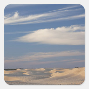 Tunisia, Sahara Desert, Douz, Great Dune, dusk 2 Square Sticker