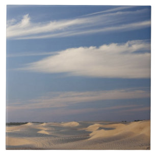 Tunisia, Sahara Desert, Douz, Great Dune, dusk 2 Tile