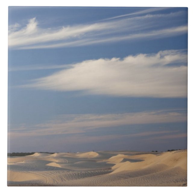 Tunisia, Sahara Desert, Douz, Great Dune, dusk 2 Tile (Front)