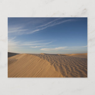 Tunisia, Sahara Desert, Douz, Great Dune, dusk Postcard