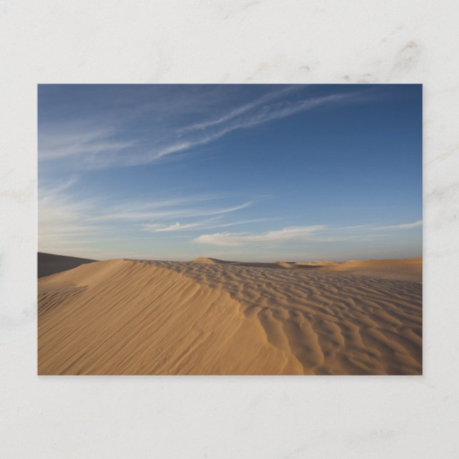 Tunisia, Sahara Desert, Douz, Great Dune, dusk Postcard (Front)