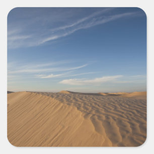 Tunisia, Sahara Desert, Douz, Great Dune, dusk Square Sticker
