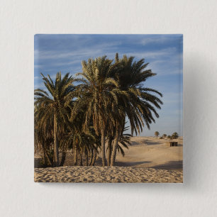 Tunisia, Sahara Desert, Douz, Great Dune, palm 15 Cm Square Badge